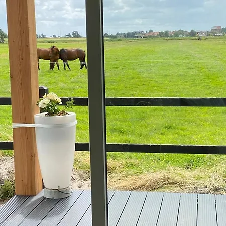 Chalet Between Meadows, Near Beach And Amsterdam