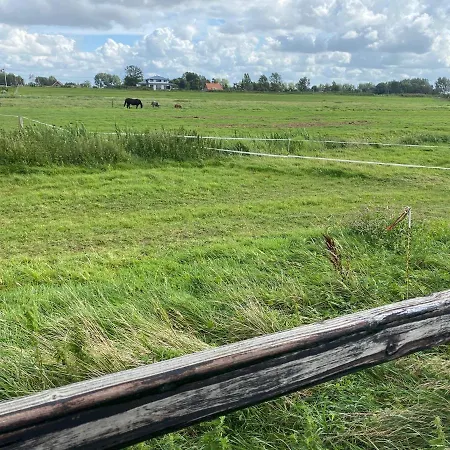 Chalet Between Meadows, Near Beach And Amsterdam 木屋