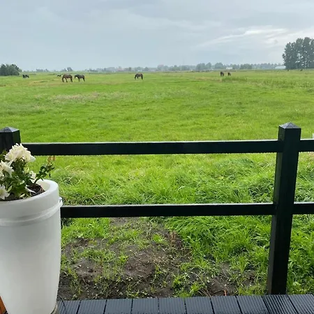 木屋 Chalet Between Meadows, Near Beach And Amsterdam 希勒霍姆